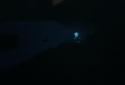 Reveal the Deep screenshot 5