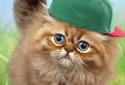 Fluffy Cat screenshot 3