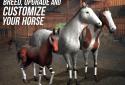 Photo Finish Horse Racing screenshot 10