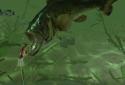 Rapala Fishing - Daily Catch screenshot 1