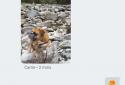 Hangouts screenshot 2