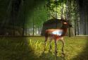 Hunting Safari screenshot 3