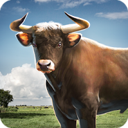 Bull Simulator