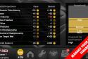 FL Racing Manager 2016 Pro screenshot 8