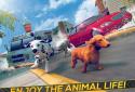 Dog Simulator 2016 screenshot 5