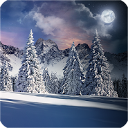 Real Snowfall Day Night