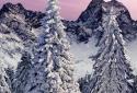 Real Snowfall Day Night screenshot 2