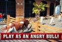 Angry Bull 2016 screenshot 14