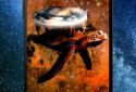 Star Turtle Pro Live Wallpaper screenshot 5