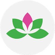 Yoga Studio