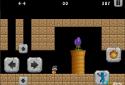 Islander Adventure Puzzle screenshot 2
