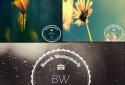 Watermark Batch screenshot 1