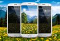 Mountain Dandelions screenshot 1