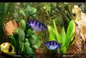Aqua 3D Live Wallpaper screenshot 5
