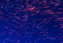 Motion screenshot 15
