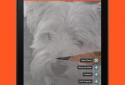 AR Lucida screenshot 6