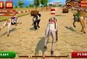 Dog Race & Stunts 2016 screenshot 11