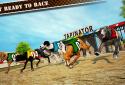 Dog Race & Stunts 2016 screenshot 9