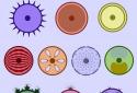 Cell Lab: Evolution Sandbox screenshot 4