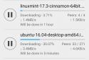 CatTorrent - Torrent Client screenshot 3