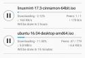 CatTorrent - Torrent Client screenshot 8