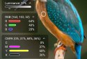 Color Picker screenshot 2