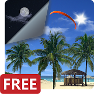 Beach Palms 3D Live Wallpaper