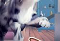 Cat Run screenshot 8
