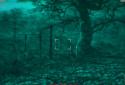 Mental Hospital V screenshot 5
