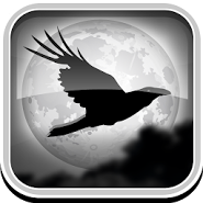 Birds Fly: Night Sky (Unreleased)