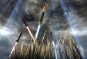 Swords Grass Live Wallpaper screenshot 21
