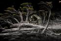 Samorost 3 screenshot 6