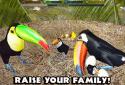 Ultimate Bird Simulator screenshot 4