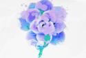 Enlight screenshot 3