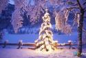 Winter Wallpapers screenshot 9