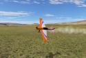 PicaSim: Free flight simulator screenshot 1