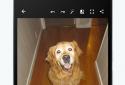 Adobe Photoshop Express screenshot 4