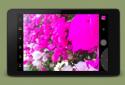 Manual Camera screenshot 8
