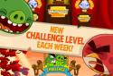 Angry Birds Seasons screenshot 4