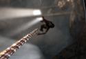 Tomb Raider screenshot 3