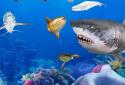 Fishing Rivals : Hook & Catch screenshot 3