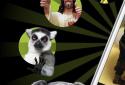 Memedroid Pro: Funny memes screenshot 1