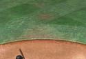 MLB TAP SPORTS BASEBALL 2017 screenshot 12