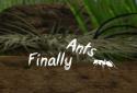 Finally Ants screenshot 1