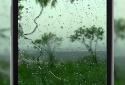 4K Rain Video Wallpaper screenshot 1