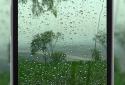 4K Rain Video Wallpaper screenshot 3