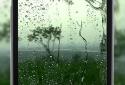4K Rain Video Wallpaper screenshot 4