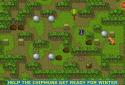 Приключения Бурундука: логические игры головоломки screenshot 7