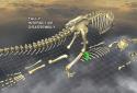 Body Disassembly 3D screenshot 5