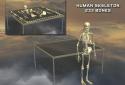 Body Disassembly 3D screenshot 8
